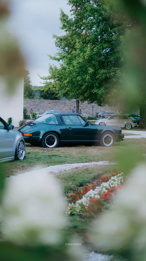 Klassischer dunkler Porsche 911 durch unscharfe Pflanzen aufgenommen