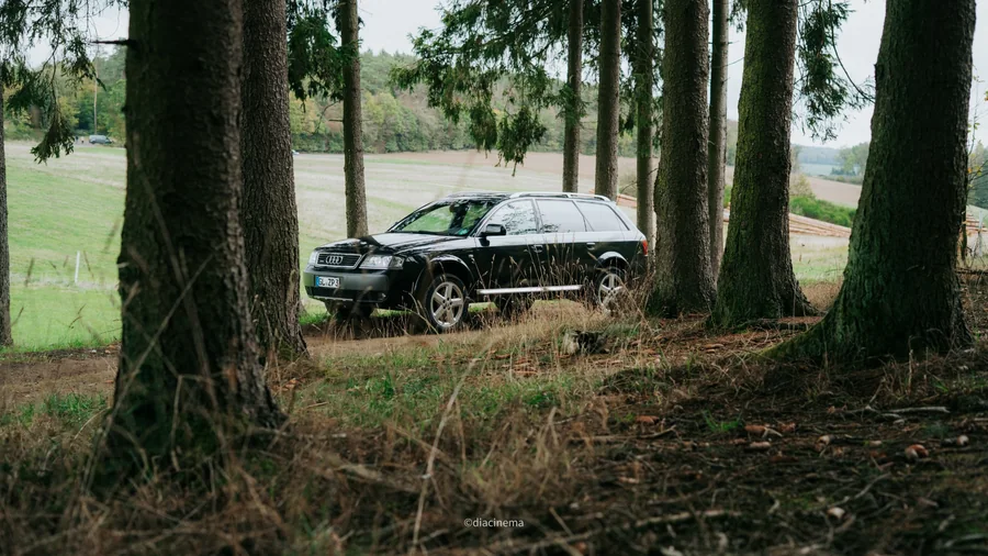 Audi allroad zwischen Baumstämmen in einer Landschaft