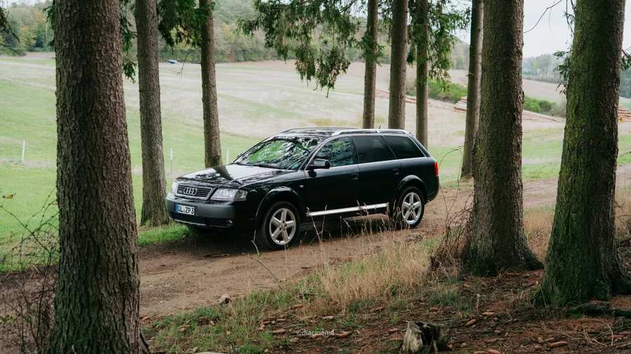 Audi allroad quattro zwischen mehreren Bäumen auf einem Waldweg